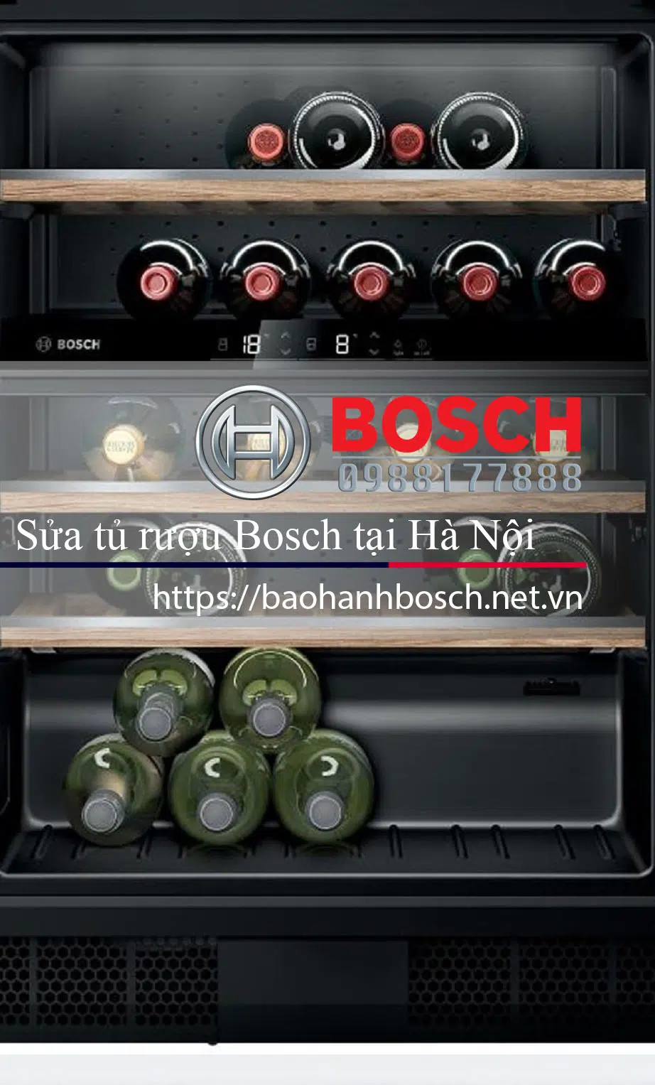 Lò làm mát rượu vang Bosch cao cấp, thiết kế hiện đại chứa nhiều chai vang, phù hợp với không gian nhà hàng hoặc gia đình yêu thích rượu.